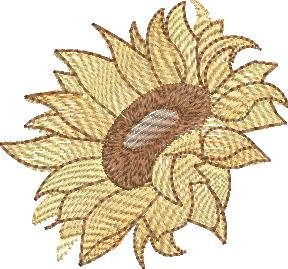 Sally King Sunflower
