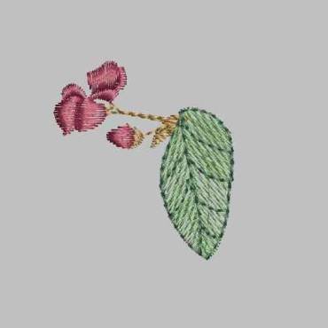 BFC0322  Lace Bowl & Doily  Caladium