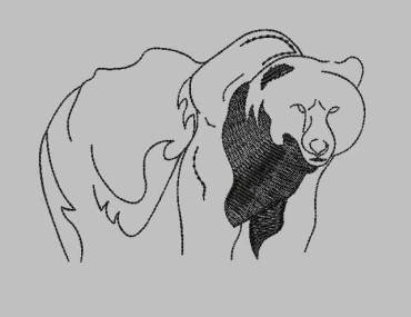 BFC0350 Bears
