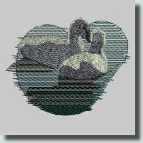 BFC0361 Swans & Water Lilies