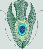 BFC0462 Peacock Feathers