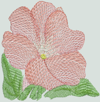 BFC0483 Seed Packets - Flowers