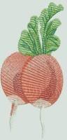 BFC0487 Seed Packets - Veggies
