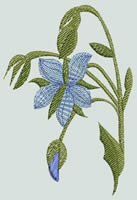 BFC0498 Seed Packet Herb Pack