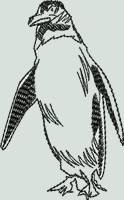 BFC0537 Penguins
