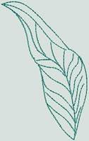 BFC0541 Floral Expressions II - Elements