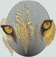 BFC0557 Window-Lion