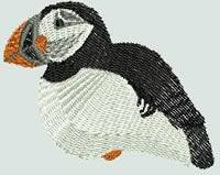 BFC0563 Puffins