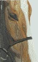 BFC0568 Window-Horse