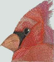 BFC0590 Window-A Cardinal