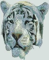 BFC0596 Window-A White Tiger