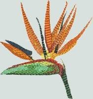 BFC0645 Window-Flamingo Paradise