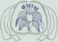 BFC0652 Quilt In the Hoop Alpine Wildflower Quilt Blocks I