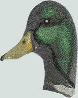 BFC0659 Ducks