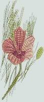 BFC0660 Botanical Prints