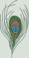 BFC0683 Peacock