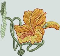 BFC0693 Nasturtiums
