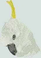 BFC0719 Large Cockatoo