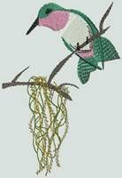 BFC0740 Window-Hummingbirds and the Orchid