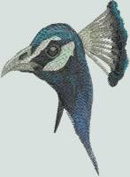 BFC0741 Large Peacock by Fred