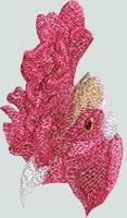 BFC0760 Portraits-Roosters