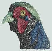 BFC0792 Two Pheasants