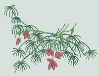 BFC0805 FSL and Regular Floral Ornaments