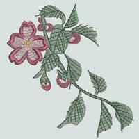 BFC0852 Oriental Fauna - Set I
