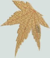 BFC0885 QIH-Autumn Leaves in the Round Times Two