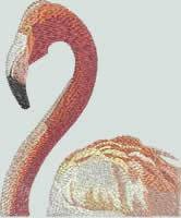 BFC0943 Window-Flamingos