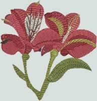 BFC0948 Alstroemeria-Peruvian Lilies
