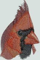 BFC0956 Cardinals II