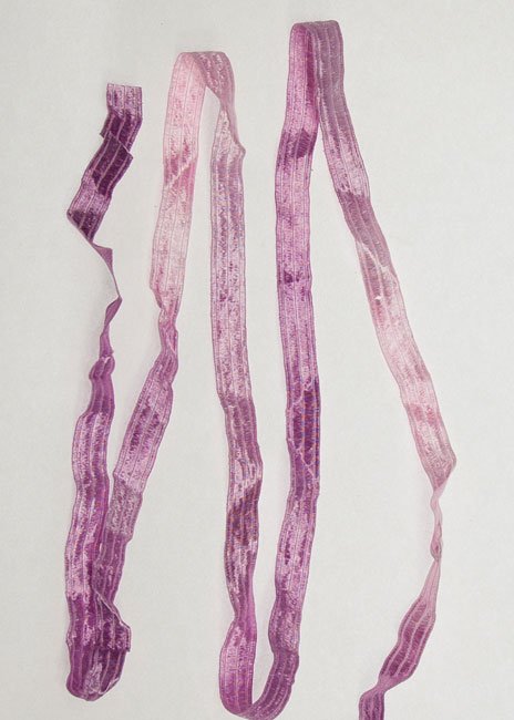 Light Pinkish Lavender Ribbon