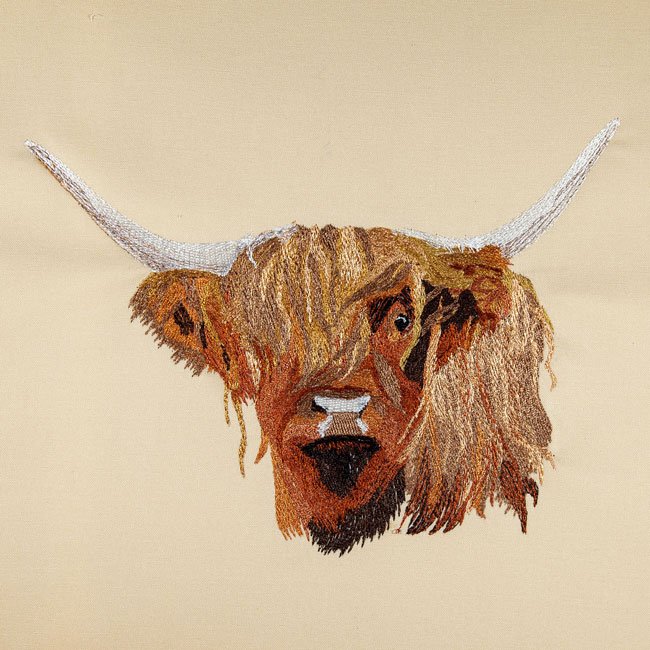 BFC30604 Gry - The Scottish Cow