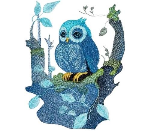 BFC31979 The Owl in the  Forest
