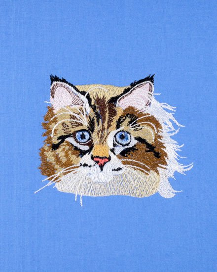BFC31304 Calico Cat Pocket Topper