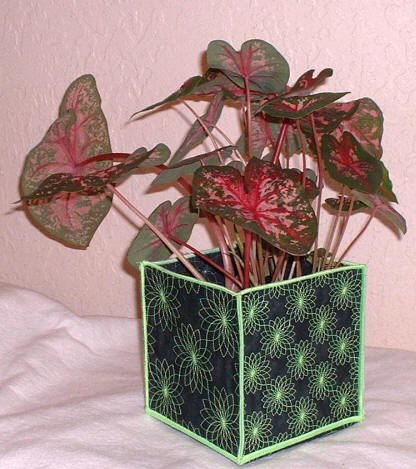 CCQ0076 - Creative Quilting Squares