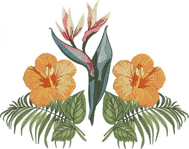 BFC1912  Fun with the Tropics