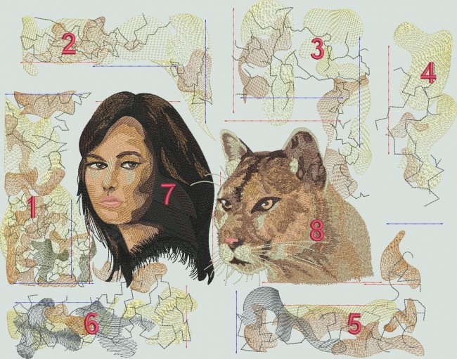 BFC1584 Native American Woman with Cougar