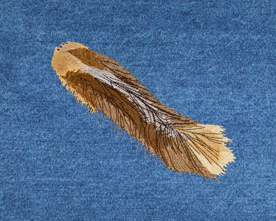Calico Cat Tail