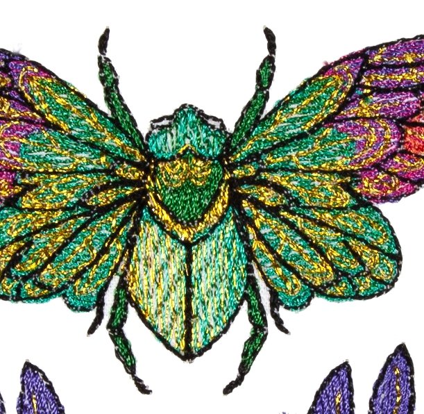 BFC2082 Insects with Flowers