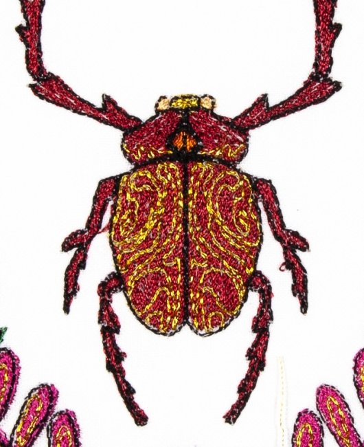 BFC2082 Insects with Flowers