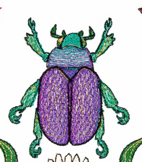 BFC2082 Insects with Flowers