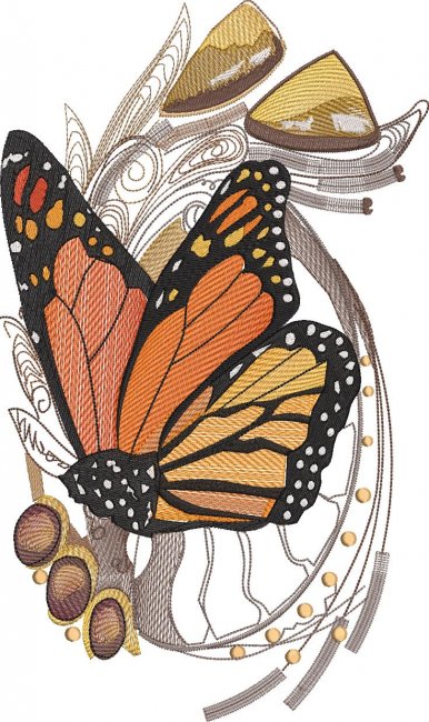 BFC2018 Delight's Monarchs and Roses