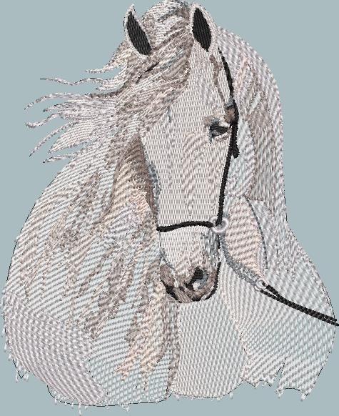 BFC1917 Large Andalusian in the Wind
