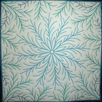 CCQ0256 - Fern Favourites