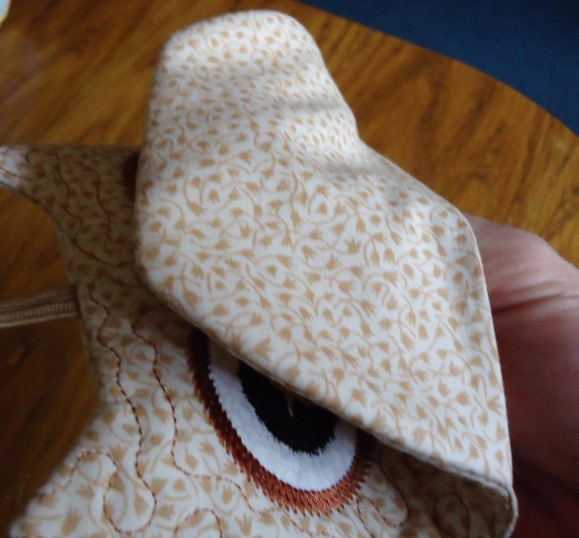 CCQ0379 - Owls