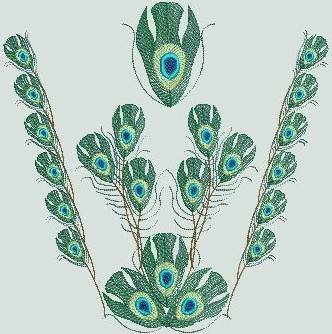 BFC0462 Peacock Feathers